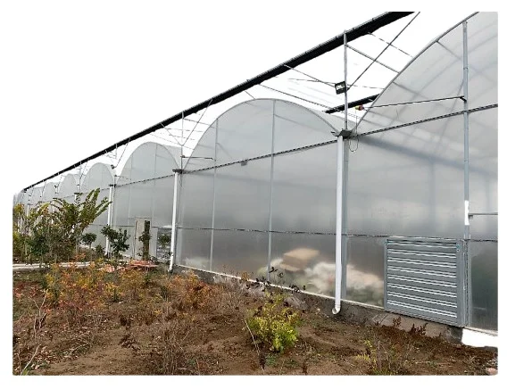 تخصيص الدفيئة الخضروات المتعددة تزايد نفق فيلم الدفيئة فيلم بلاستيكي زراعي بولي كلوريد الفينيل مقاومة للأشعة فوق البنفسجية نفق بولي #6