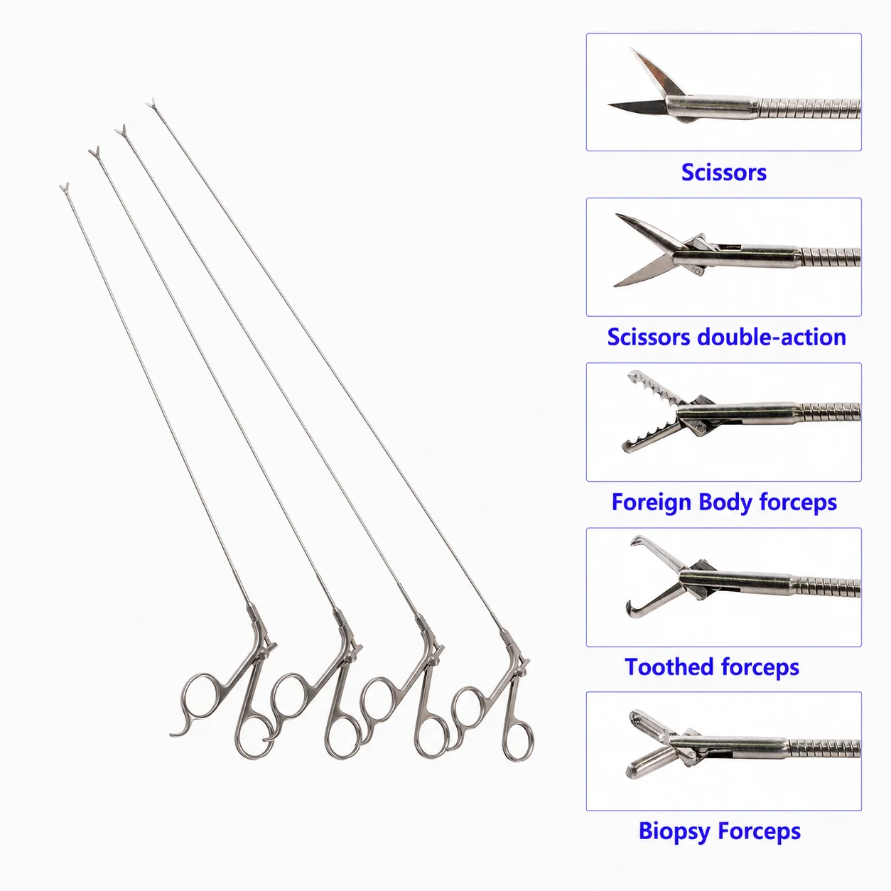 

Flexible Endoscope Forceps Veterinary Surgical Instruments Urology Cystoscope Ureteroscope