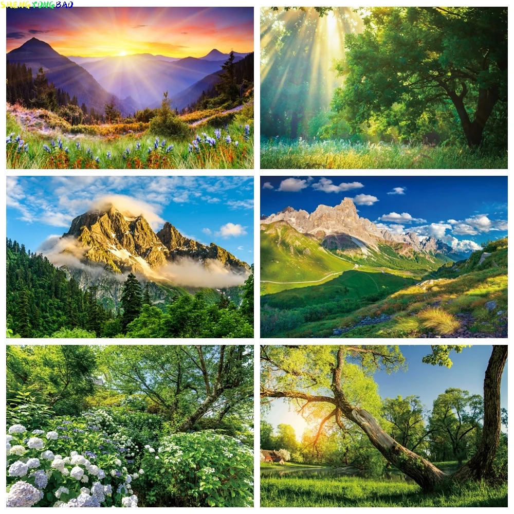 

Natural Landscape Backdrops Flower Trees Mountain River Birthday Party Holiday Outing Portrait Photography Backdrop Wall Decor