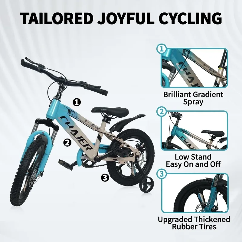 1Pc Bike Bicycles Mountain Bicycle Gold 16In with Training Wheels Ride on Toys Correpasillos Trotinette Electrique Scooter Cocuk