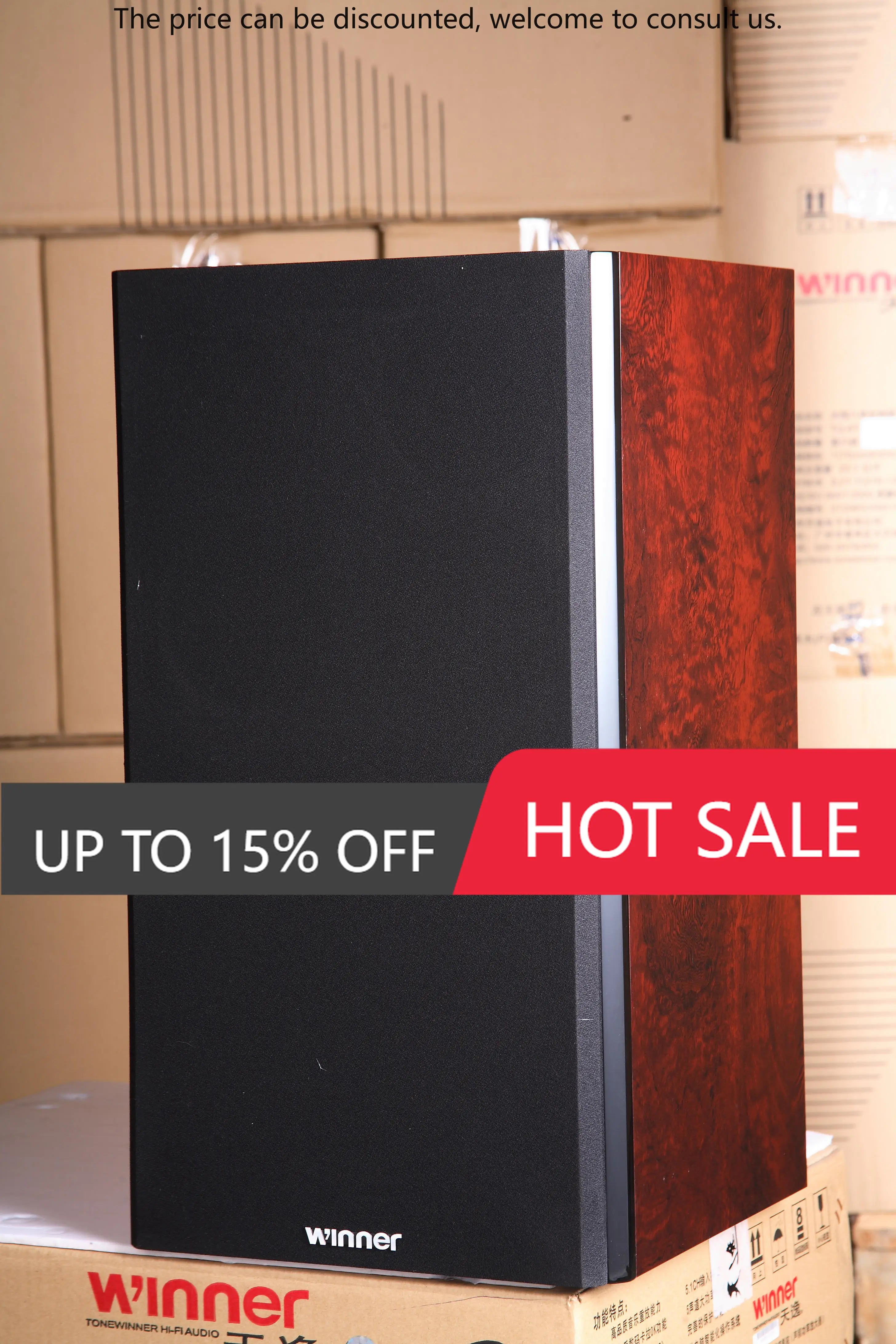 

ToneWinner Wholesale Bookshelf Speakers Indoor Karaoke Hifi Party Stereo Wireless Stereo Home Speakers
