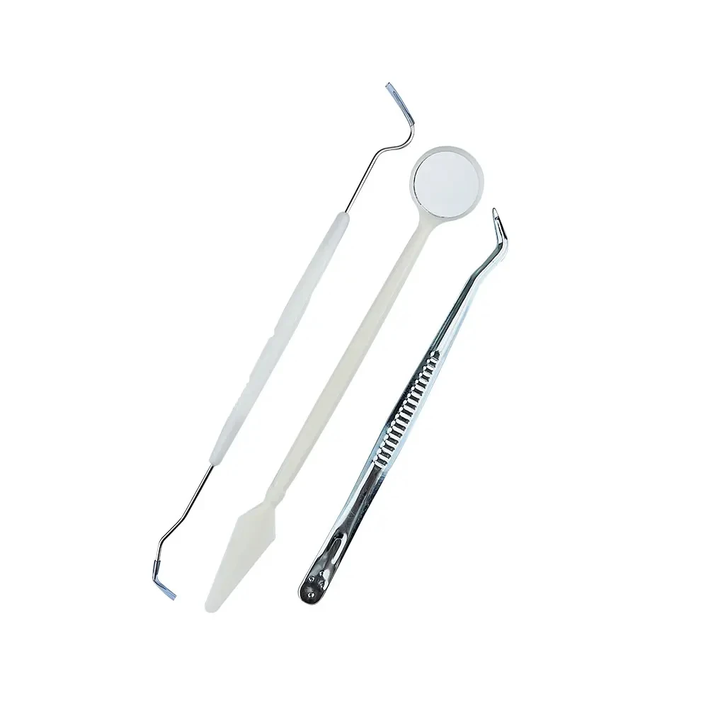 3pcs/set Stainless Steel Dental Tool Set Dental Oral Care Endoscopic Cleaning Calculus Remover Tooth Stains And Tartar