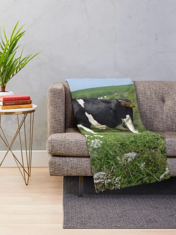 Dairy Cows Grazing Throw Blanket Halloween Christmas Decoration Warm Blankets Sofas Of Decoration Blankets