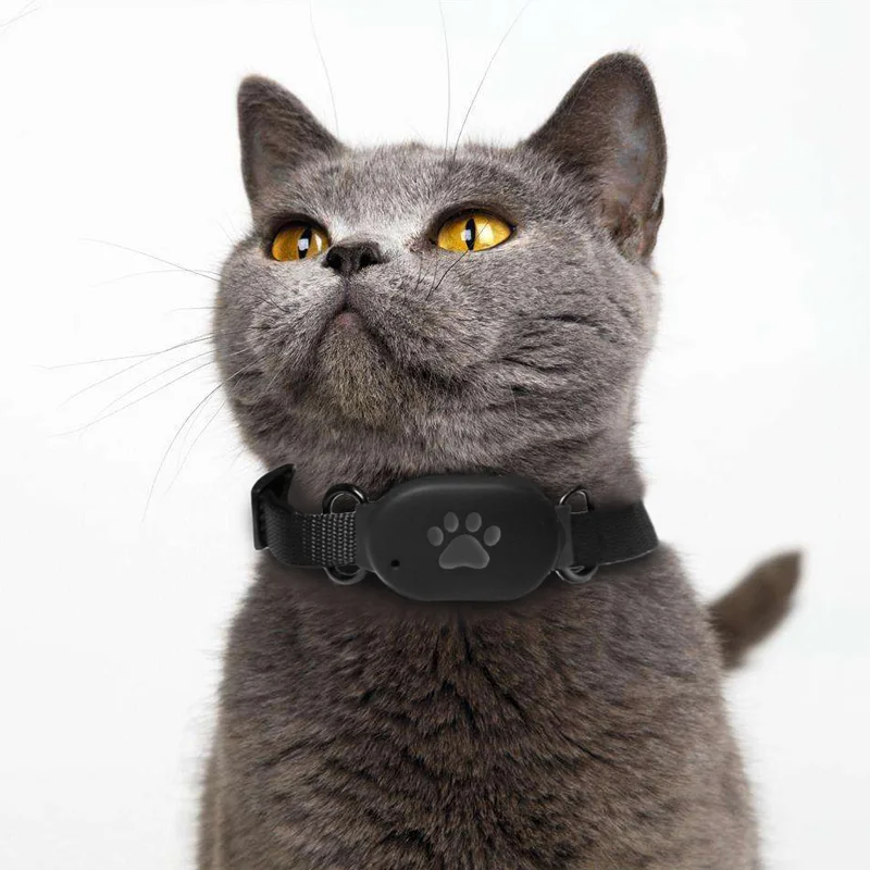 

Pets Accessories Collar Wholesale Dog Cat Pet GPS Tracker Locator/Pet Tracker gps