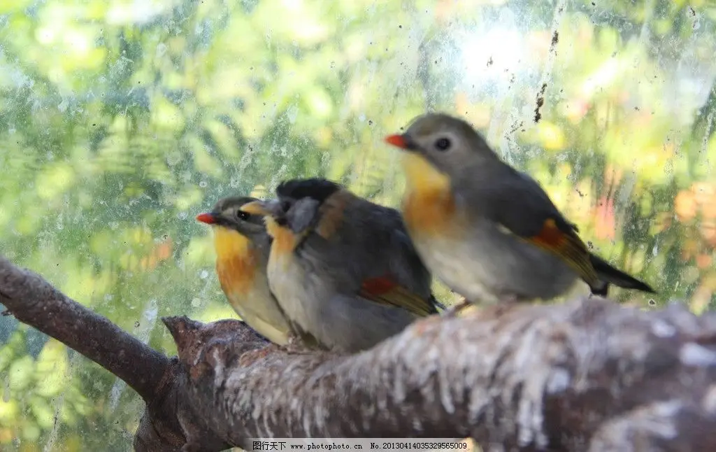 

Короткая фиксирующая пластина из углеродного волокна с электрической регулировкой для радиоуправляемых машин Trxs Slash 4X4, запчасти для тюнинга