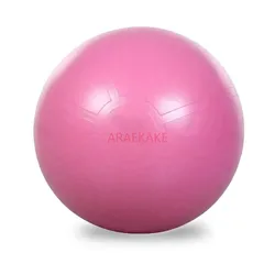 Professional Exercise Ball - Yoga Ball for Working Out, Balance, Stability