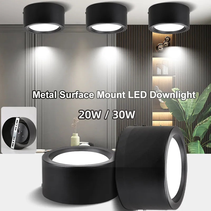 

Led Downlight AC180-265V 20W 30W Ceiling Surface Mounted Spots Lamp for Home Kitchen Hallway Porch Stair Metal Shell Down Light