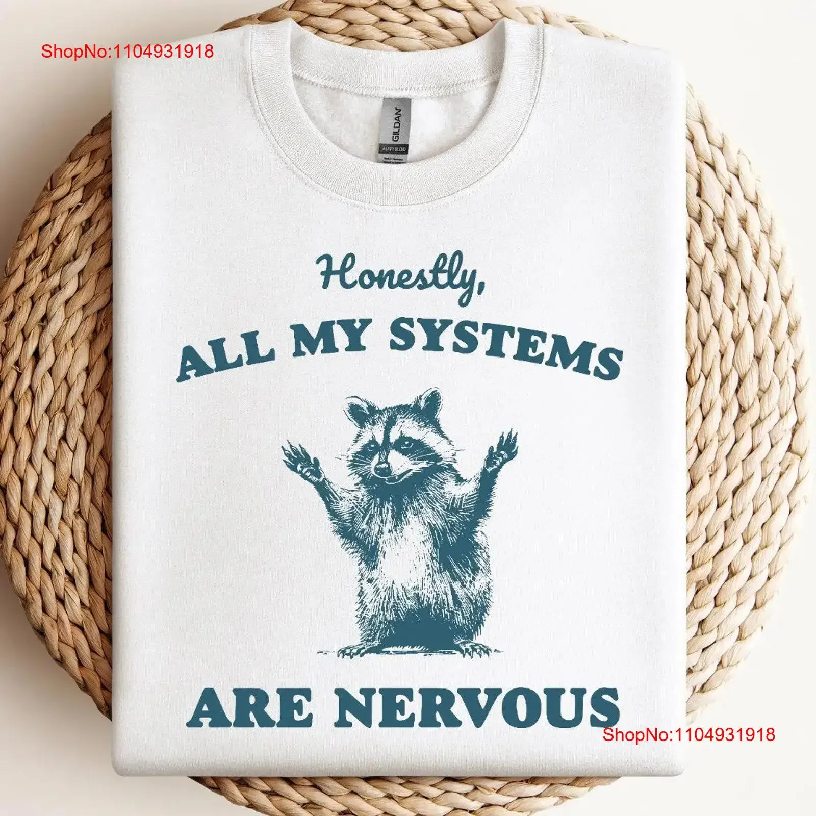 

Honestly all my Systems are Nervous T Shirt Funny Raccoon Saying s local street cat vintage Washed graphic designer clothes