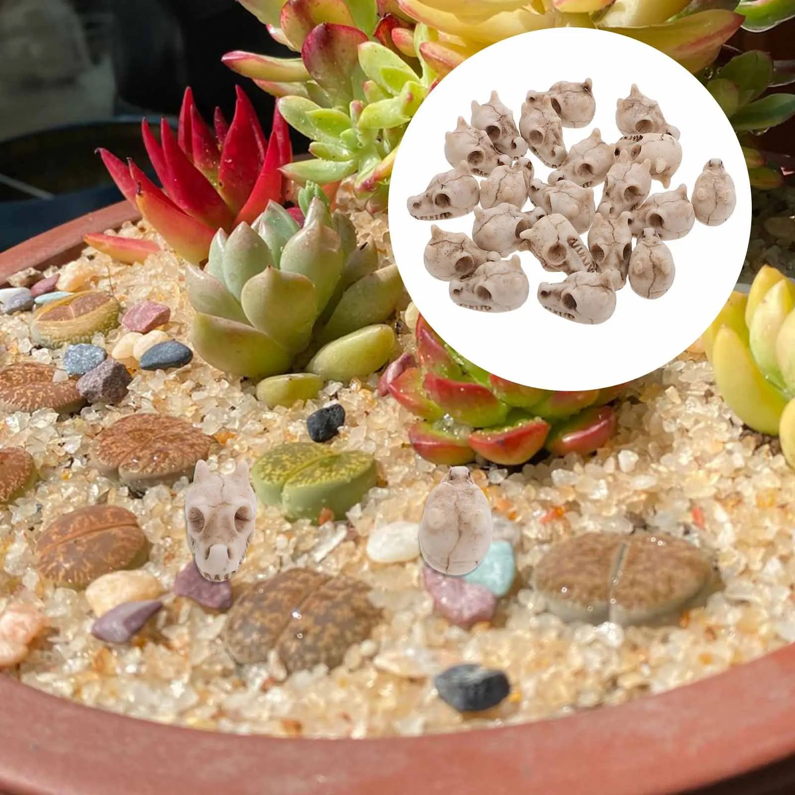 

20pcs Outdoor Skull Statue Mini Resin Dragon Skull Figurines For Garden Yard Fish Tank Bonsai Landscape Ornament Decor