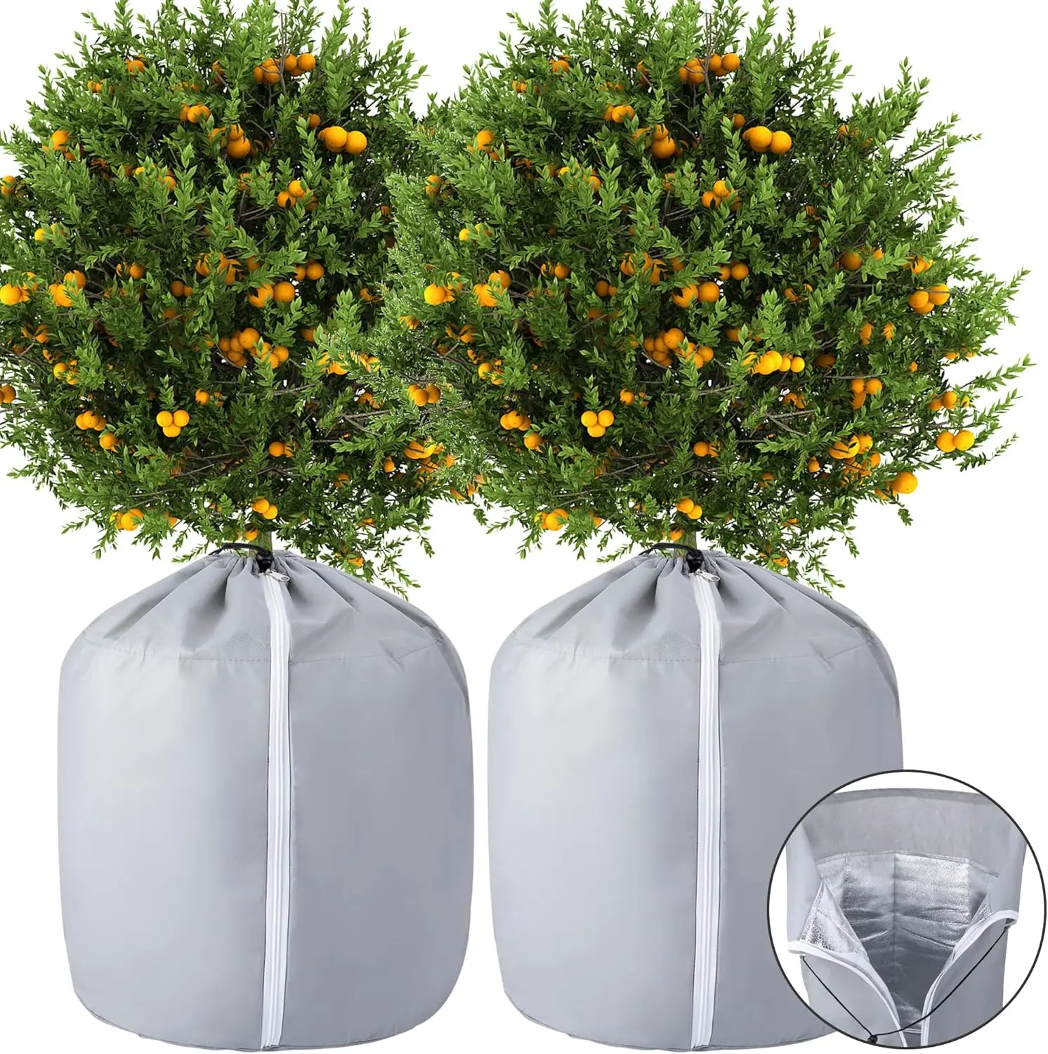 2PCS Plant Winter P… - image