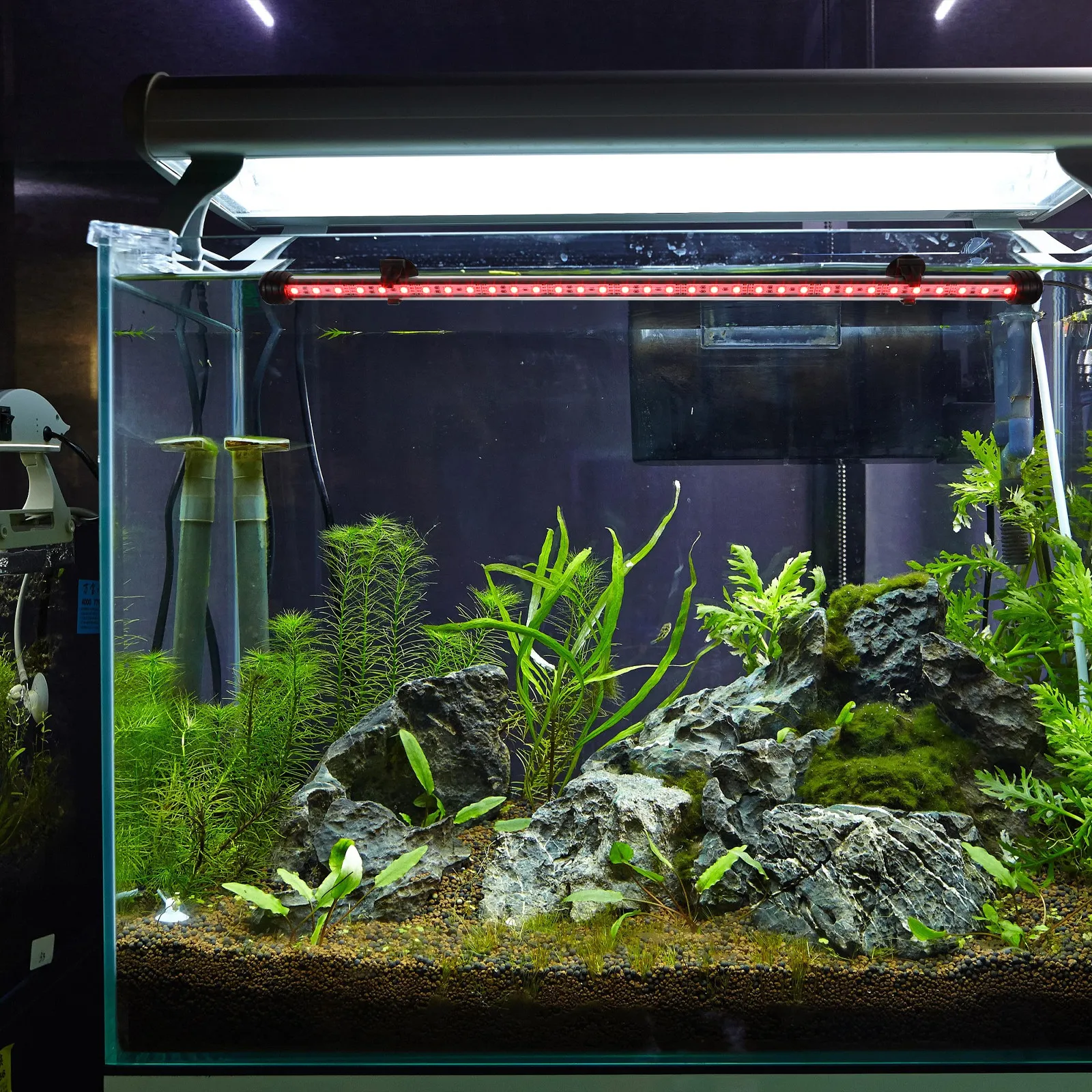 

Easy-Install Aquarium LED Light Submersible Fish Tank Lamp for Water Tank Landscaping Creative Lighting Lamp Aquatic Plant Decor