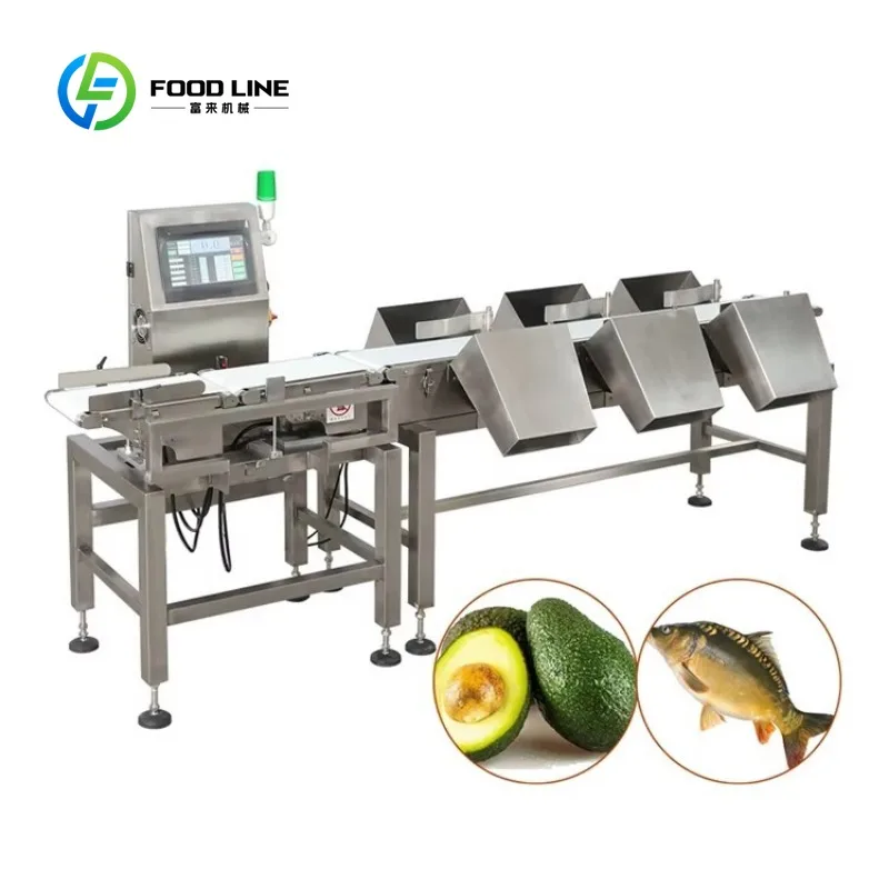 Customized High Speed Fish Sorting Machine Multi Grade Weight Classification Equipment Stainless Steel for Seafood Factory