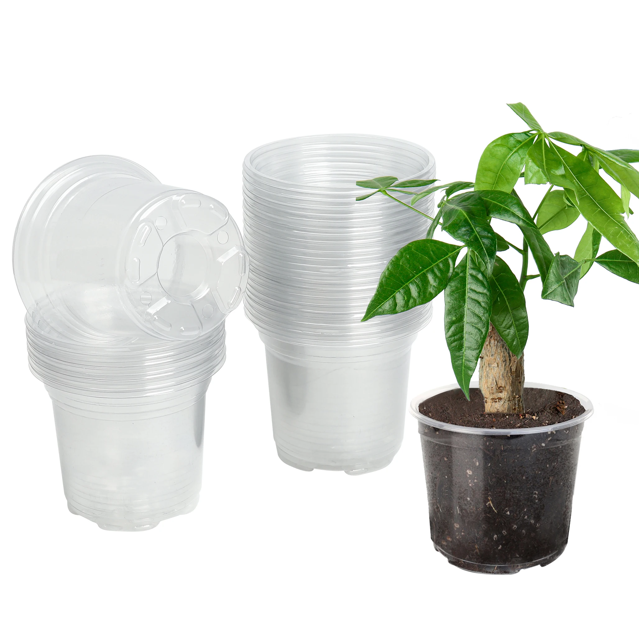 30 5-inch clear plastic planters with humidity domes and drainage holes for indoor succulents, seed starting, seedlings and cutt