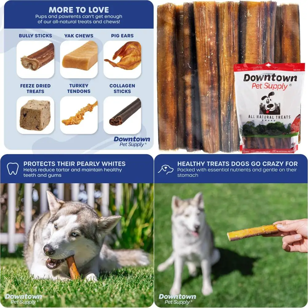 

Большие натуральные жевательные лакомства для собак, с низким содержанием запаха, длительного действия, идеально подходят для агрессивных грызунов (6 штук, упаковка 24 шт.)