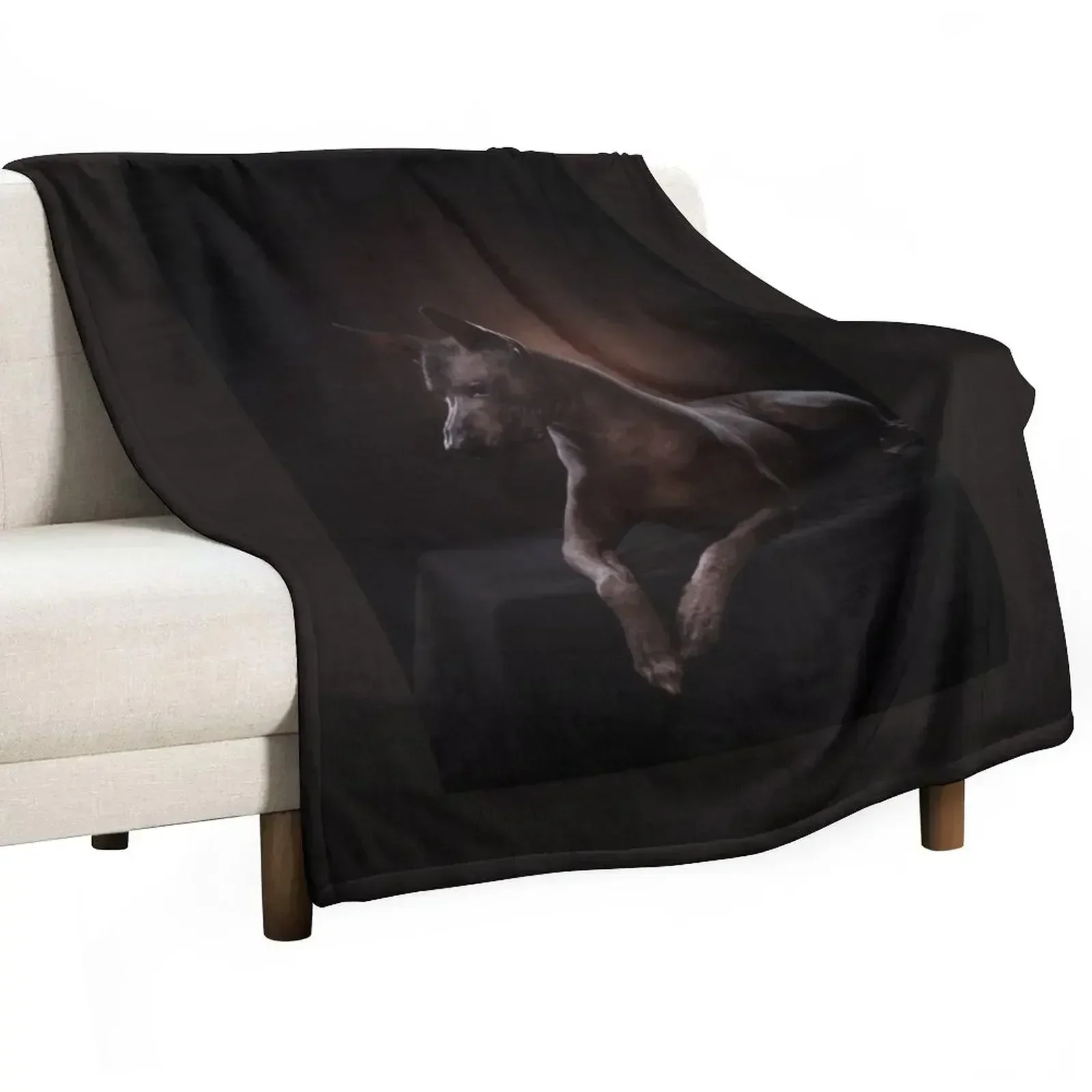 Nueva manta Xoloitzcuintle, manta acogedora para dormir, regalo para mamá y papá