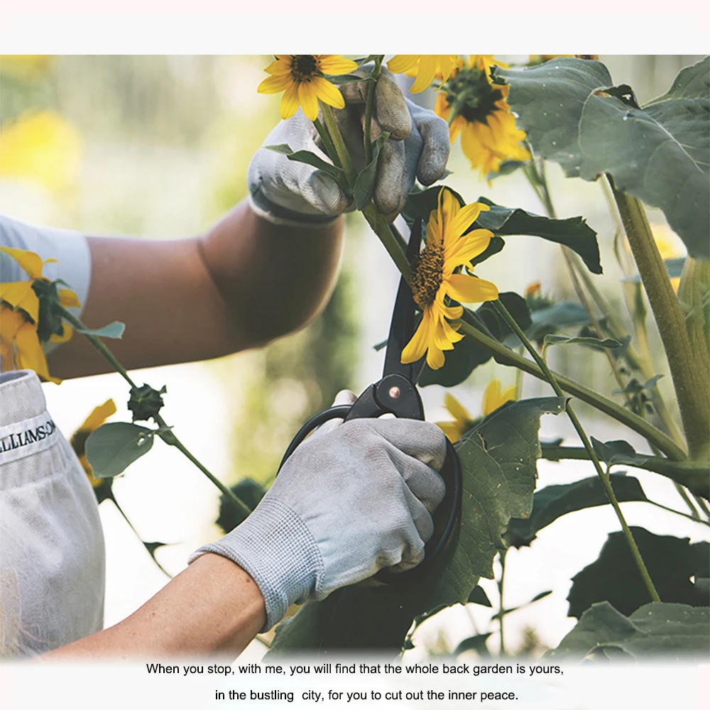 プロ品質の根の剪定はさみ、ステンレス鋼の盆栽ツール、家庭用庭の葉の花、手はさみ、1個