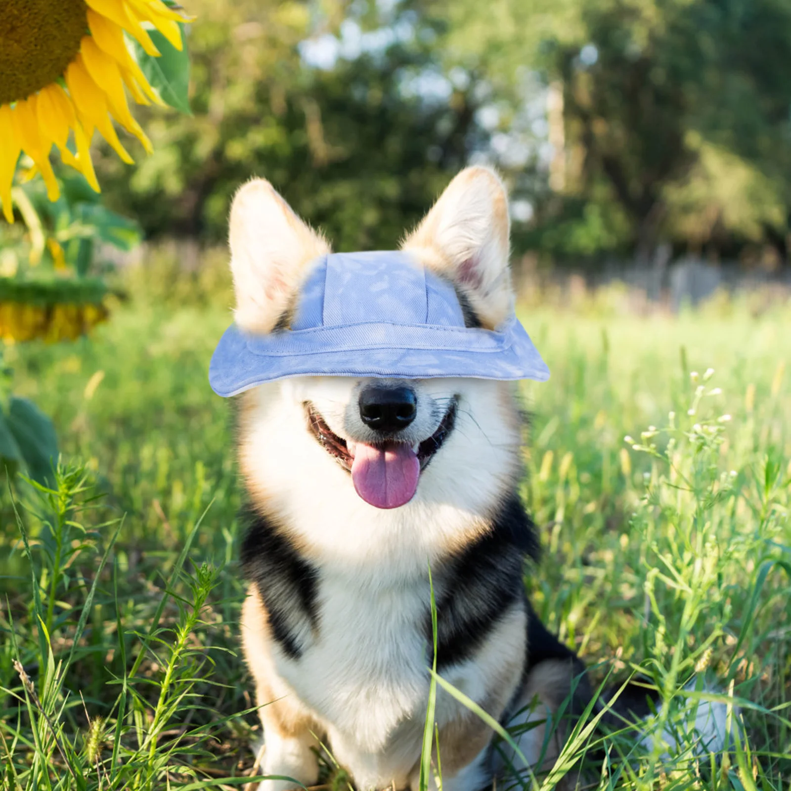 

Pet Sunscreen Bucket Caps Dog Headdress Cotton Adjustable Chin Strap Outdoor Blue M Size Pet Hats Dog Headdress