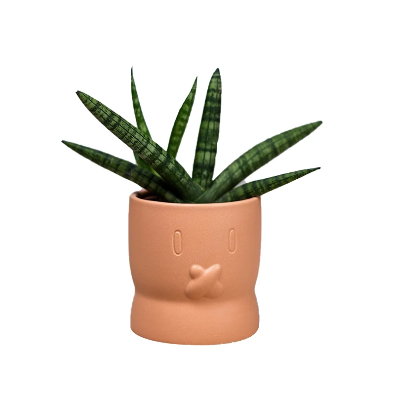 Korean Personality Carved Ceramics Succulent Flower Pot Lovely Cactus Plant Potted Basin Art Ornament Home Balcony Gardening