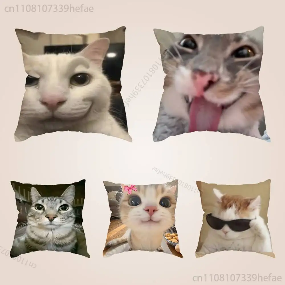 

Cat Memes Funny Meme Throw Pillow Case For 45x45cm,55x55cm,30x30cm For Home Bedroom Decoration And Protector