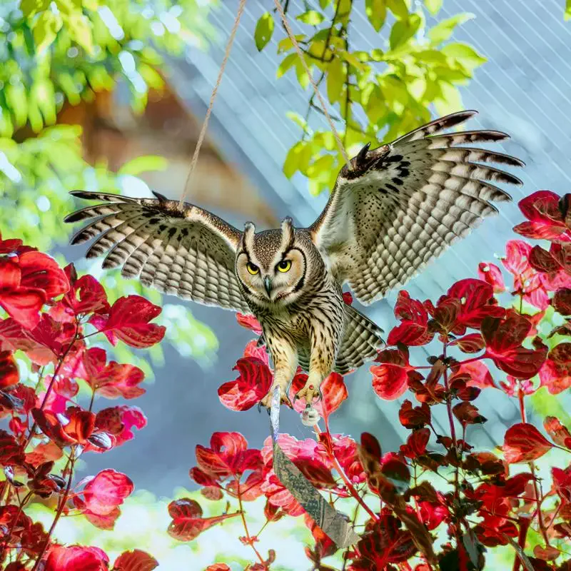 Owl repelling birds, pest control, artificial scarecrow reflective waterproof bird intimidation simulation
