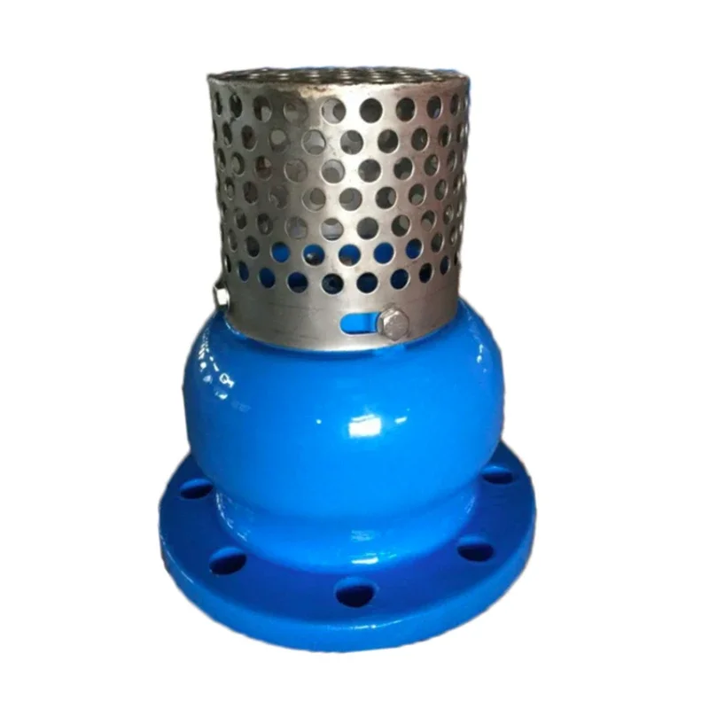 

Foot Type Check Valve Ductile Iron Strainer with Flange End