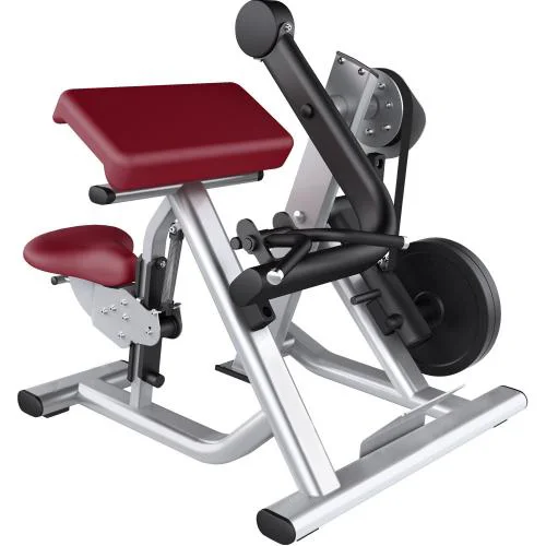 ASJ-M605 Banco de rizos de brazo comercial Preacher Curl Banco de gimnasio Entrenamiento de bíceps Placa sentada Máquina de predicador de rizos de bíceps cargada