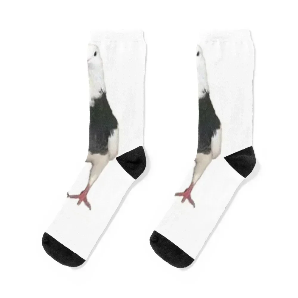 

Pigeon Socks warm winter moving stockings cotton Novelties Ladies Socks Men's custom new in's gifts Socks For Man Women's