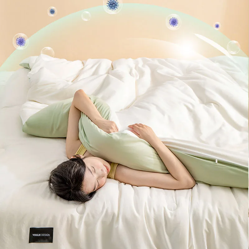 Class a Soybean Winter Quilt Cotton Core Spring Autumn Student Dormitory Summer Cool Air Quilt