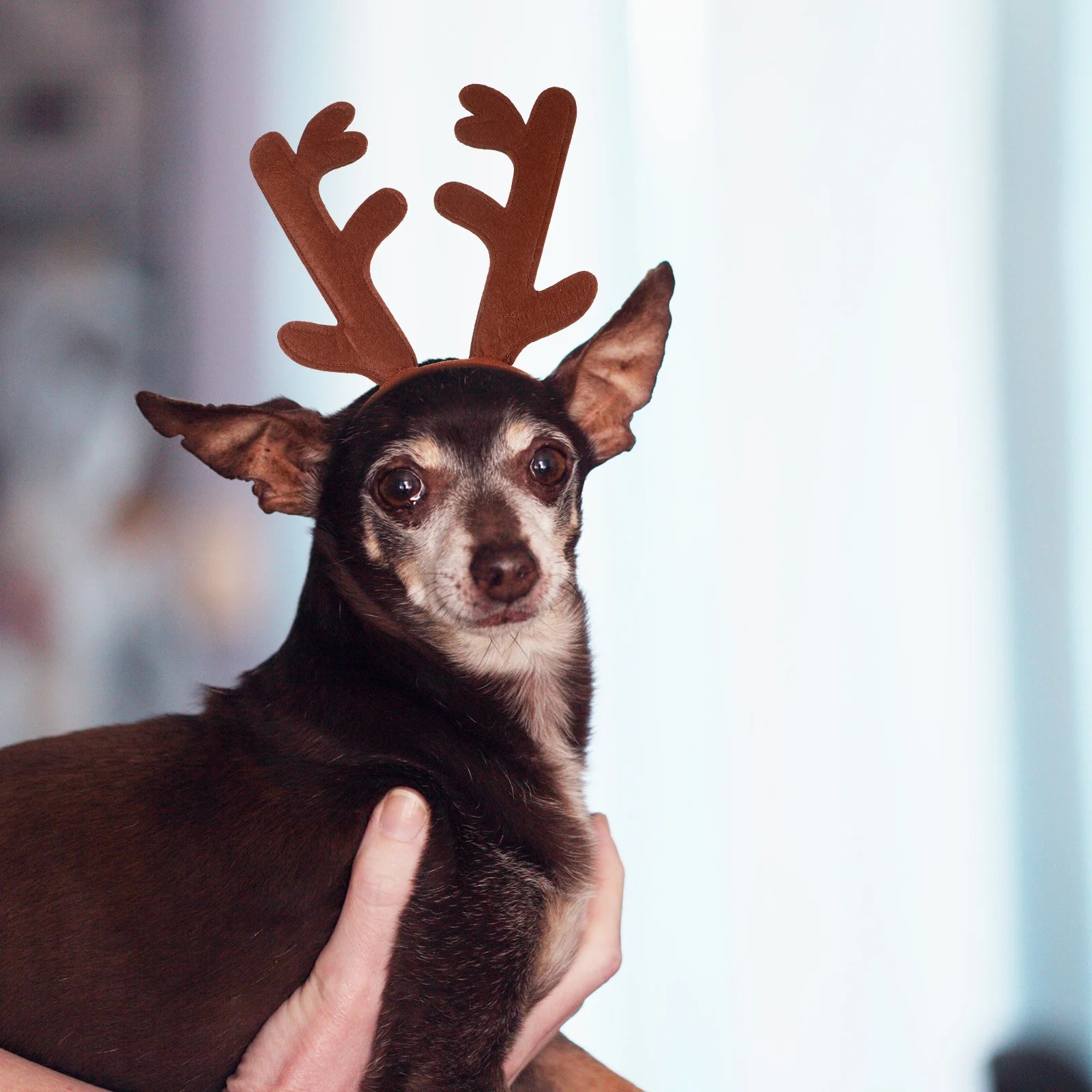 

Pet Christmas Headband Adorable Antler Headdress Xmas Party Photo Shoots Comfortable Safe All Sizes Kitten Puppy