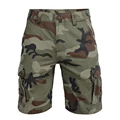 Mountain Camo