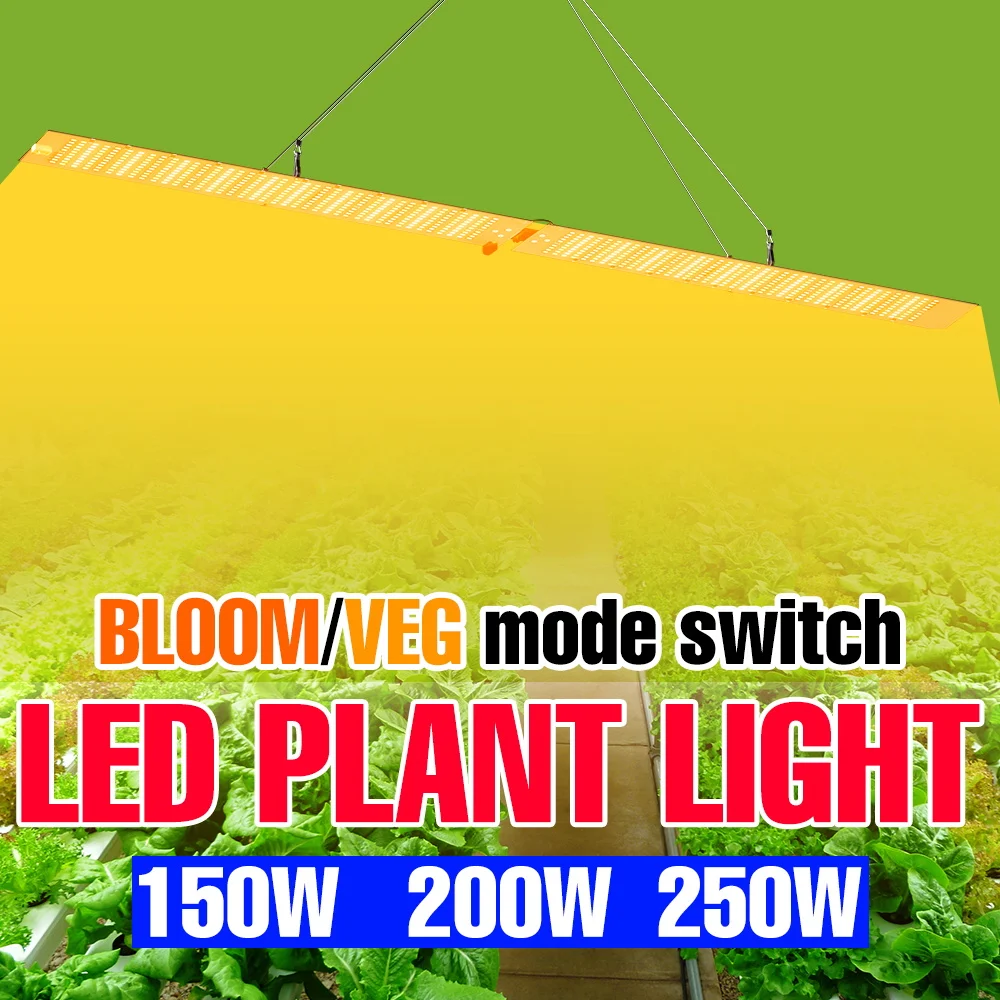 250w-led量子ボード植物育成ライト-110v-フルスペクトル-室内栽培ボックス-温室-水耕栽培-野菜-種まき-補光照明