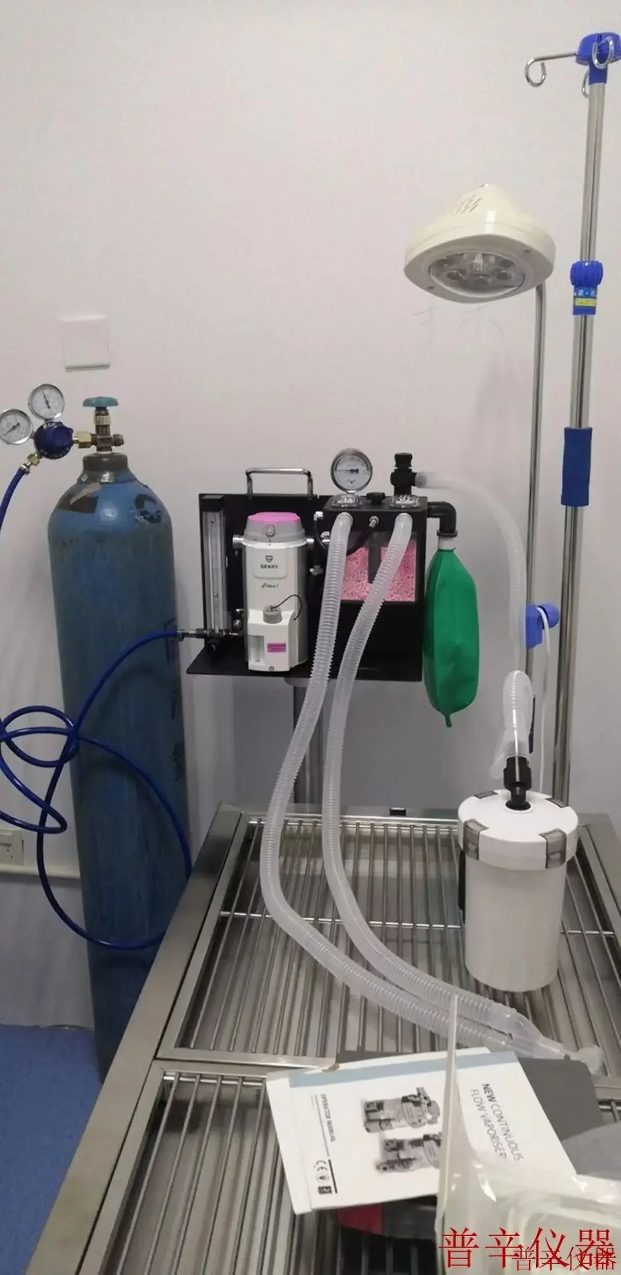 Animal Pet Respiratory Anesthesi Small Animal Respiratory Veterinary