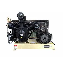 Methane air compressor - 10bar- oil free 11KW 75KW Compressor