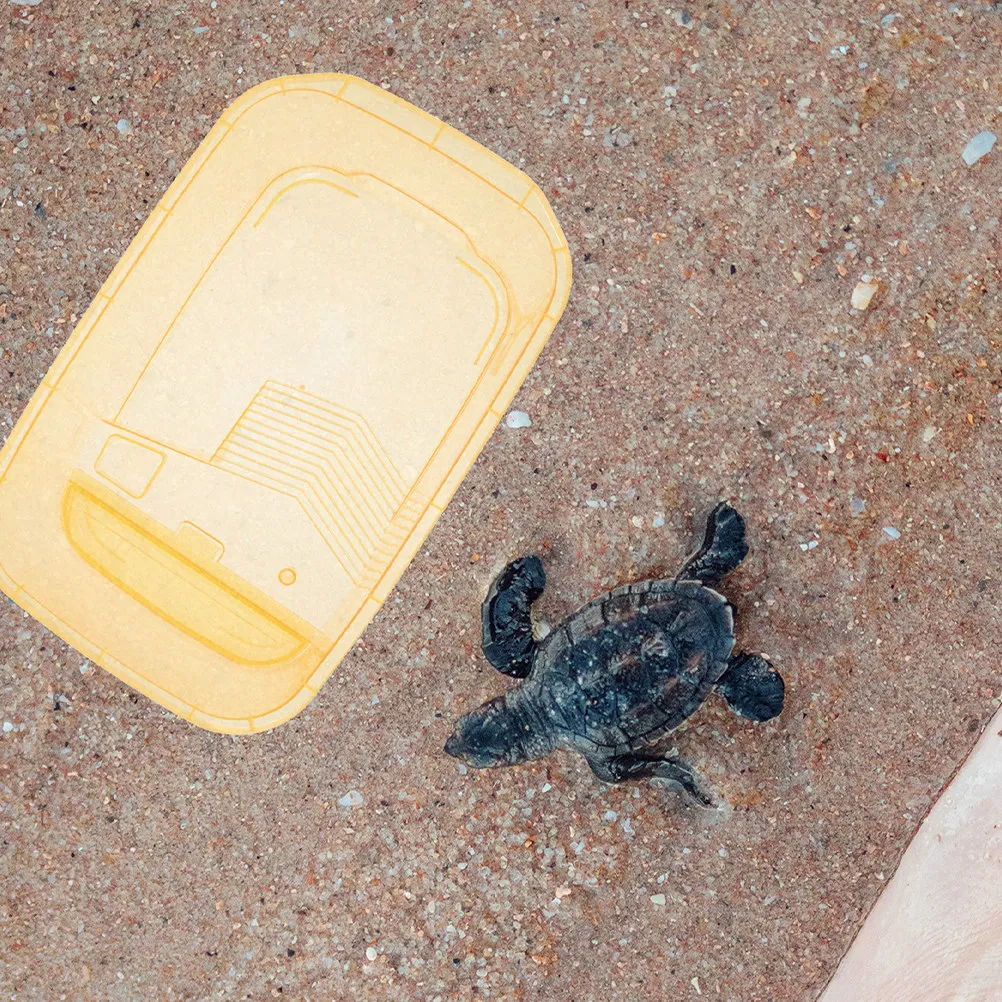 

Набор из 4 штук: Пластиковый аквариум для черепах большой емкости с нескользящей платформой-пандусом для кормления и разведения, для содержания рептилий