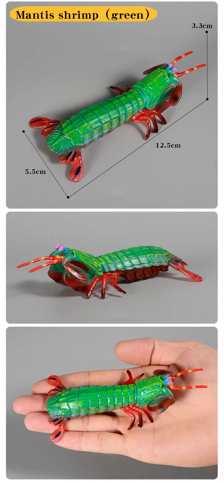 Ozean Tiere Mantis Garnelen Meer Leben Modell Action-figuren Simulation Sammlung Spielzeug für Kinder Geschenk – Detail 5