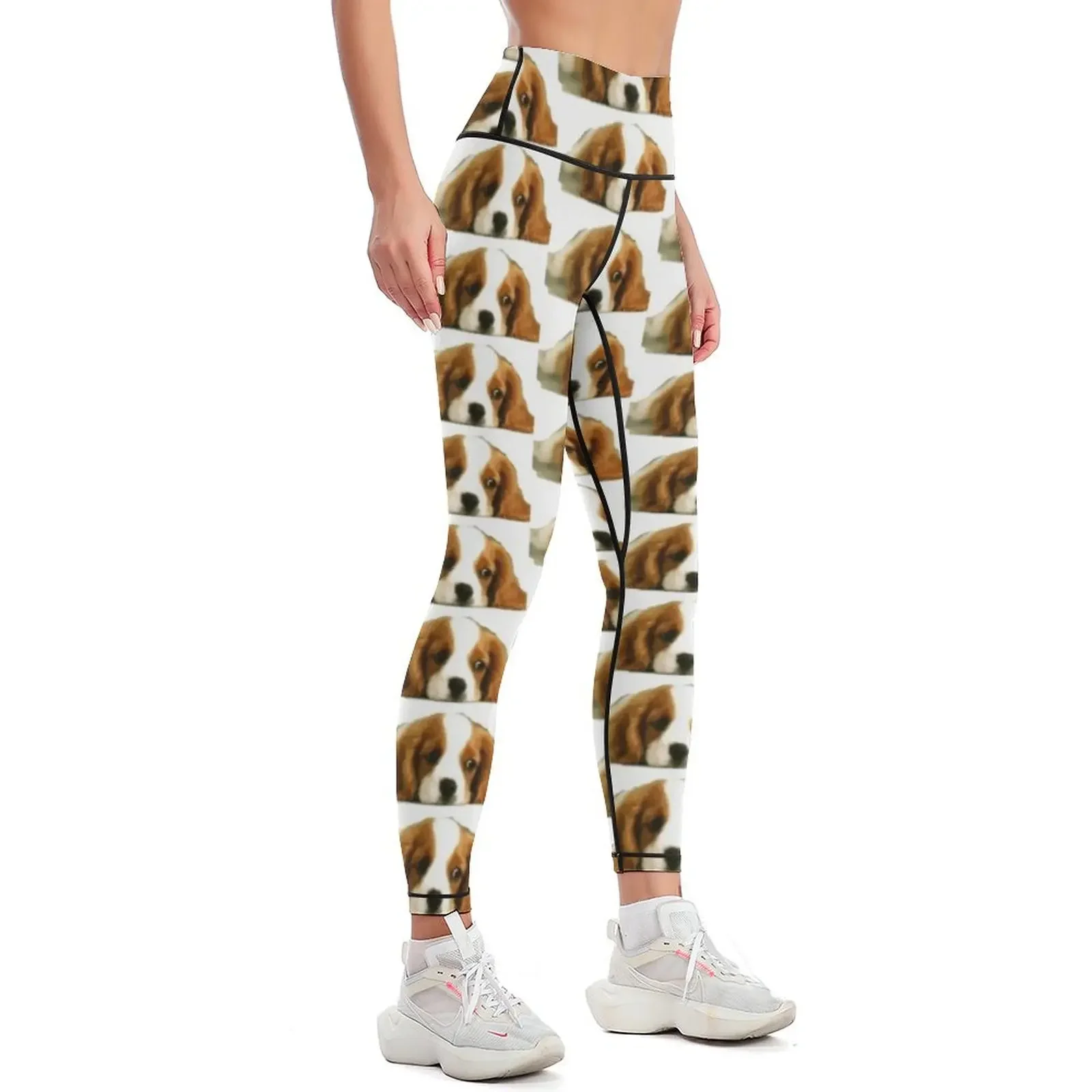 Amy's cute puppy work Leggings fitness set gym Jogger pants Women's pants Womens Leggings