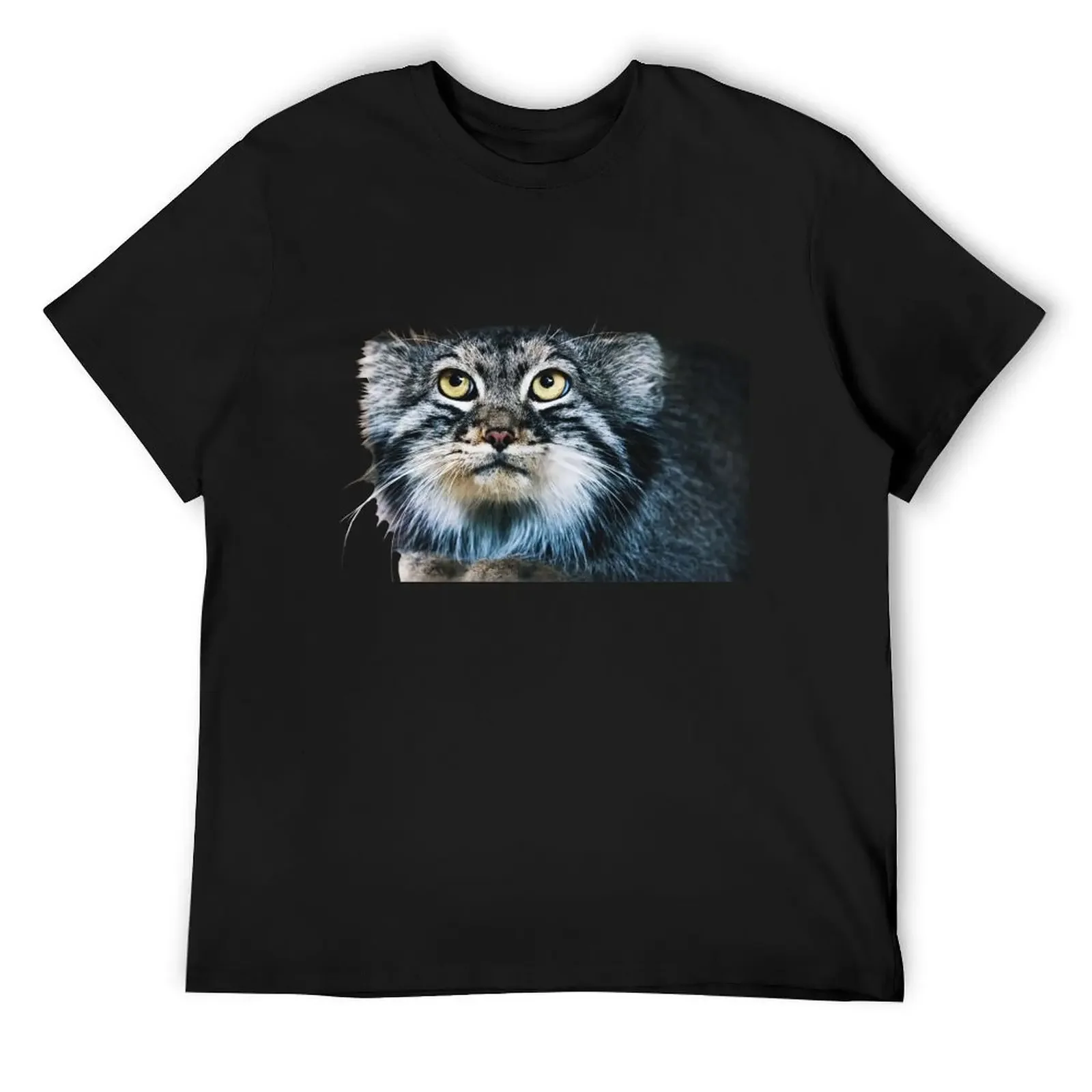 

Pallass Cat T-Shirt anime shirt shirts graphic tee quick-drying shirts men graphic