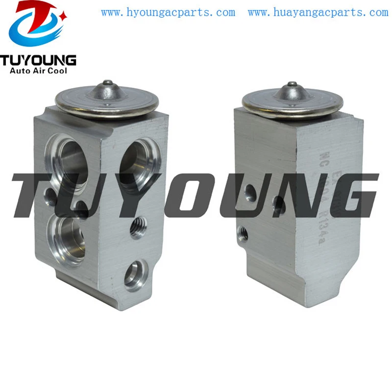 

Auto a/c expansion valve for Hyundai Santa Fe Sonata Kia Optima EX 9731C T39379 759609 976263R000