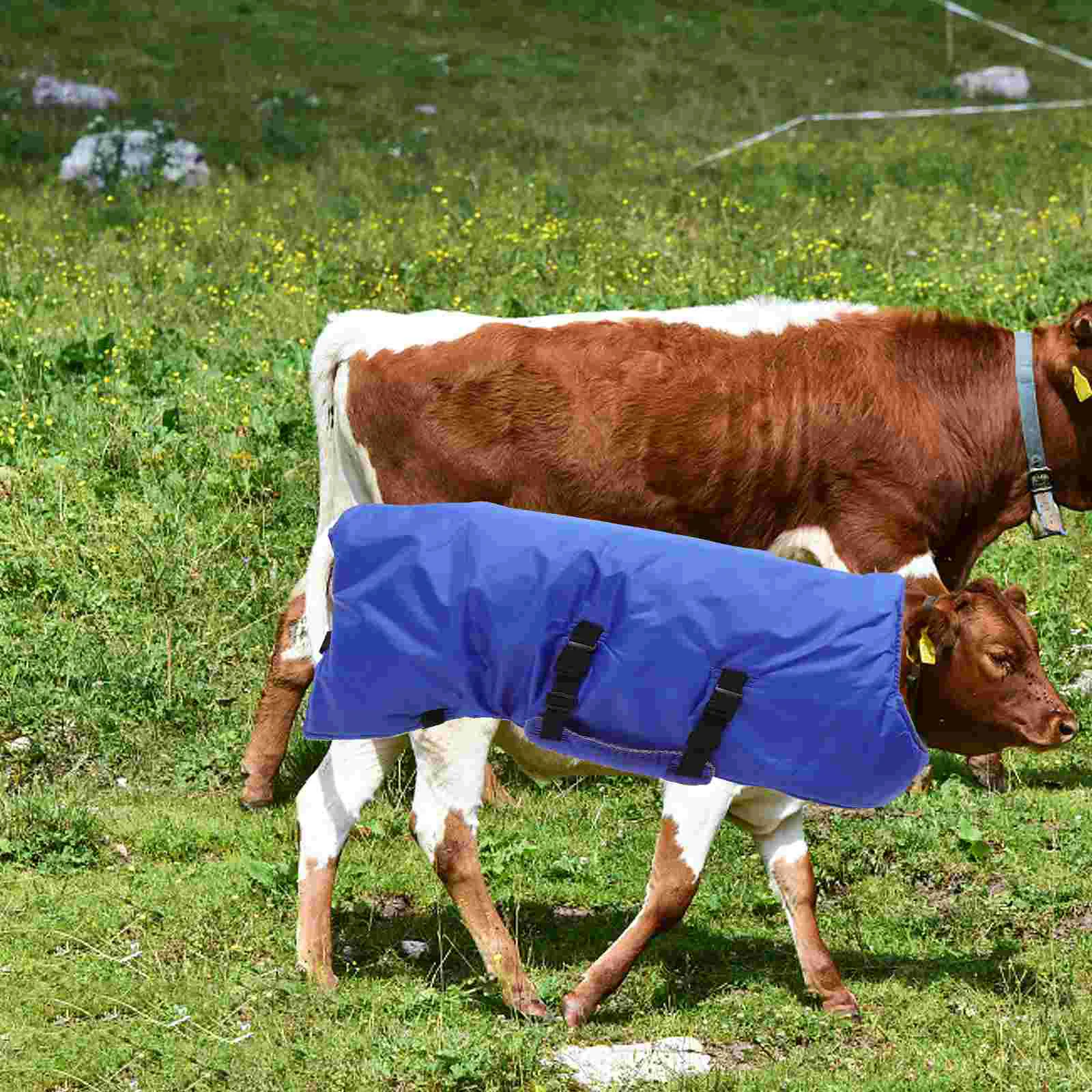 

Fleece Blanket Calf Vest Ranch Clothes Pet Cow Warm Coat Goat Clothing Blue Winter Women's