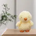 Chicken 20cm