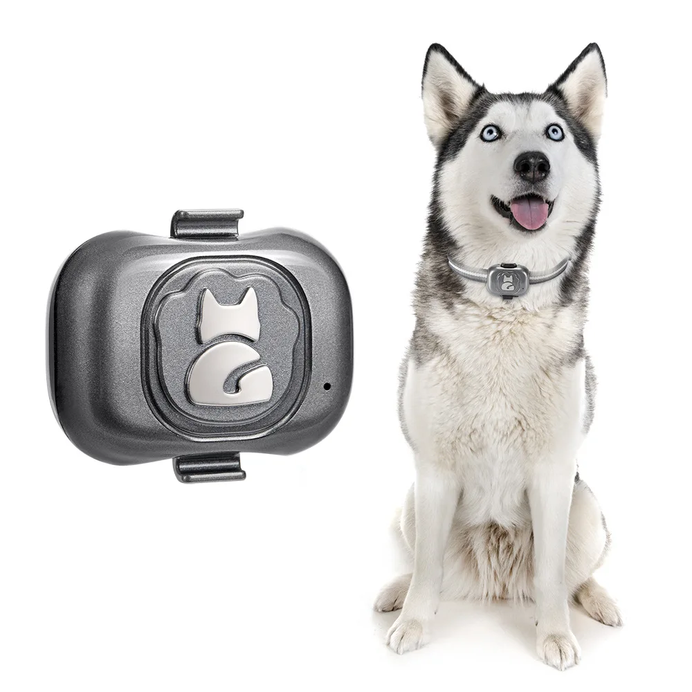 

New GF-07GPS pet locator, smart wearing GPS pet waterproof anti-lost anti-theft tracker