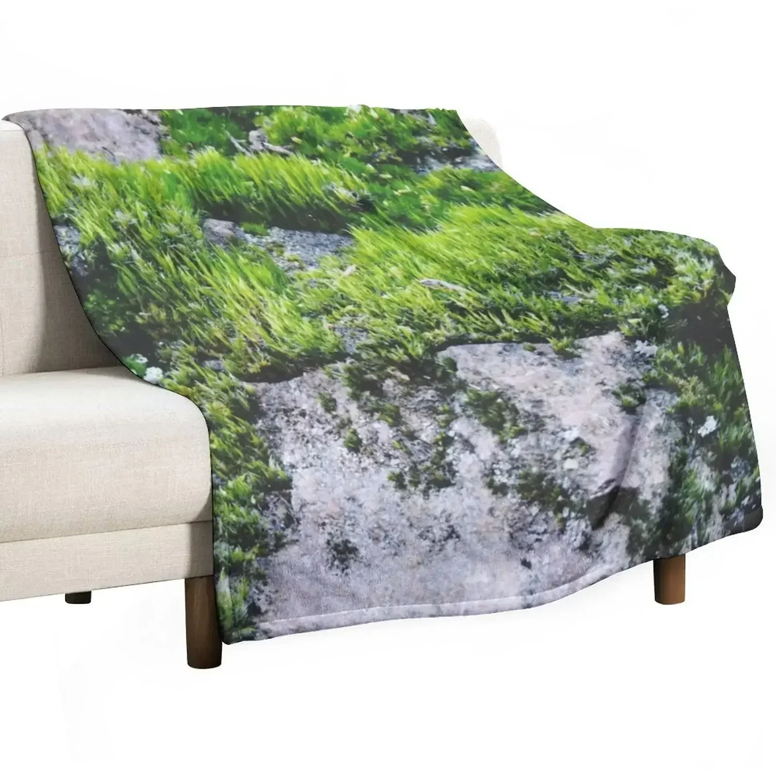 

Moss Forest adventure landscape Throw Blanket Bed linens Soft Hairy Blankets