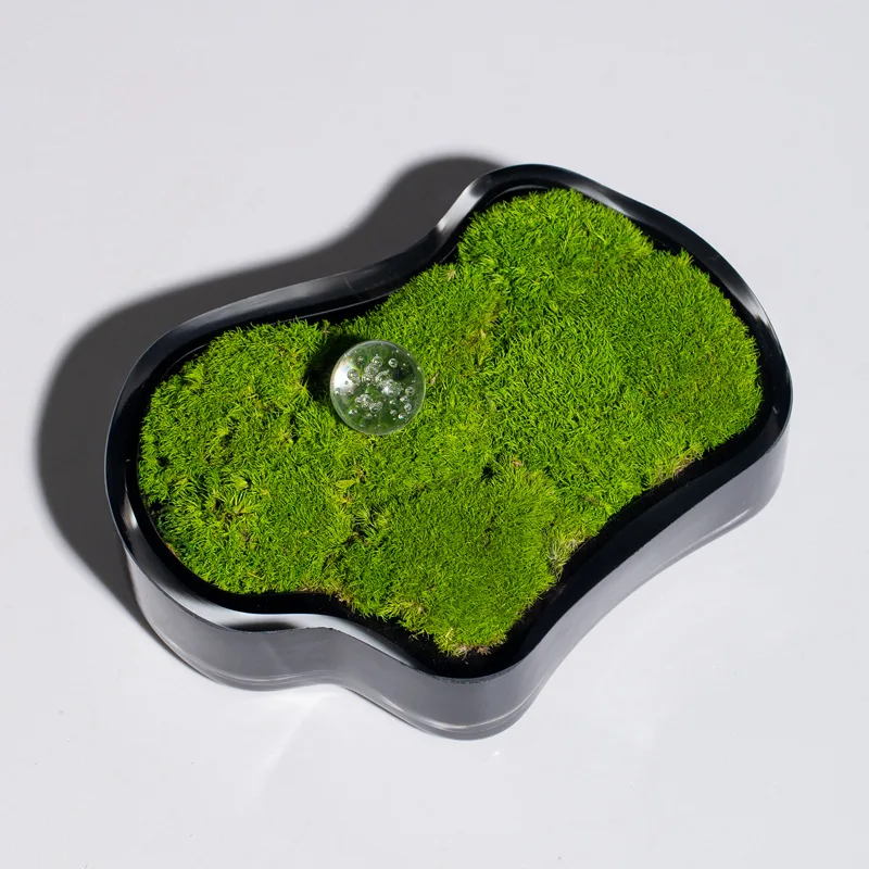 غرفة نموذجية، غرفة معيشة، طاولة قهوة مستديرة، نباتات خضراء وديكور ناعم، زخرفة مشهد صغير، أثاث راقي #4