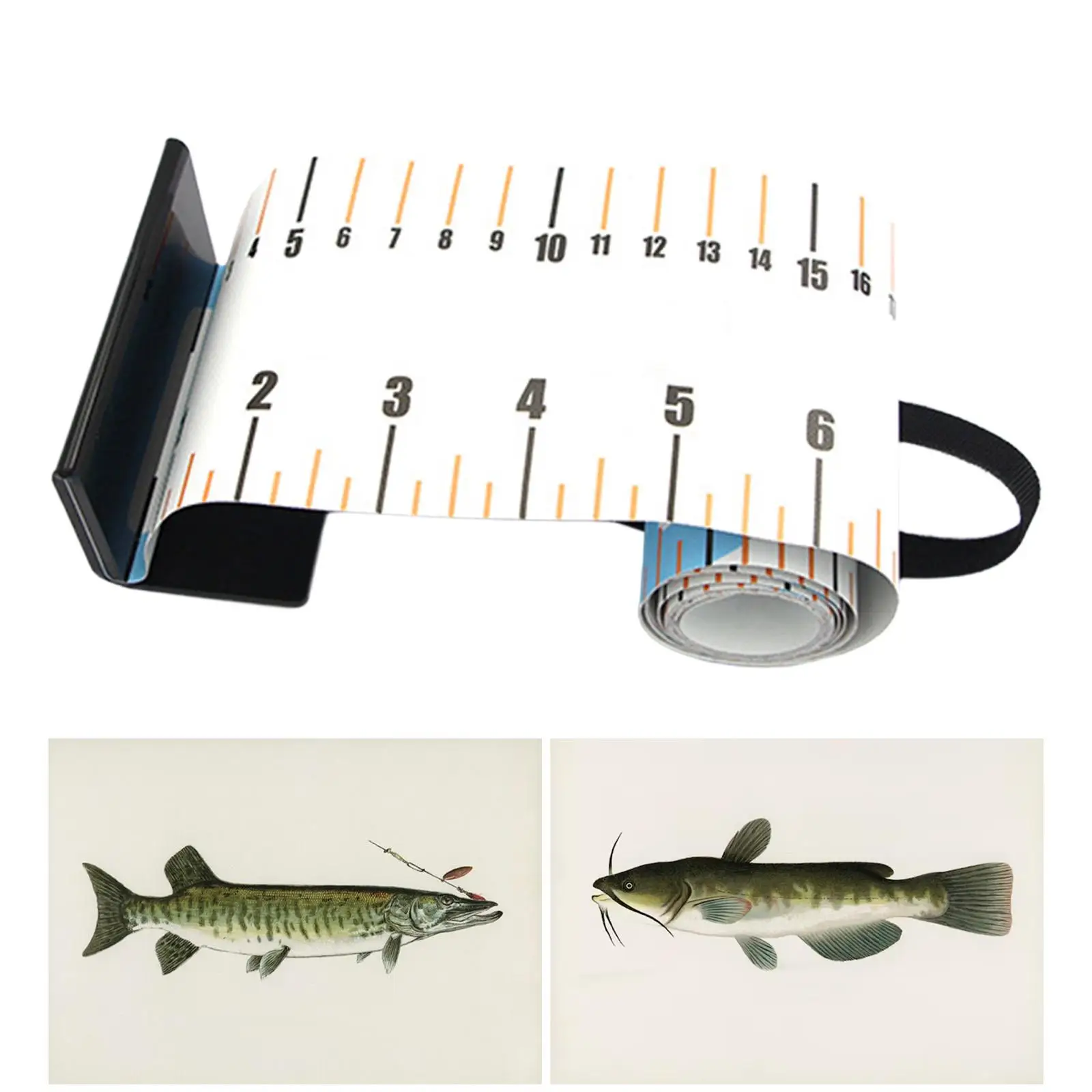 

Рыболовная линейка, измерительный инструмент для морской рыбы для рыбалки, парусных лодок, яхт