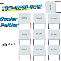 TEC1-12706  TEC-12703 12704 12705 12706 12708 12709 12710 12712 12715 12V 6A TEC Thermoelectric Cooler Peltier DIY