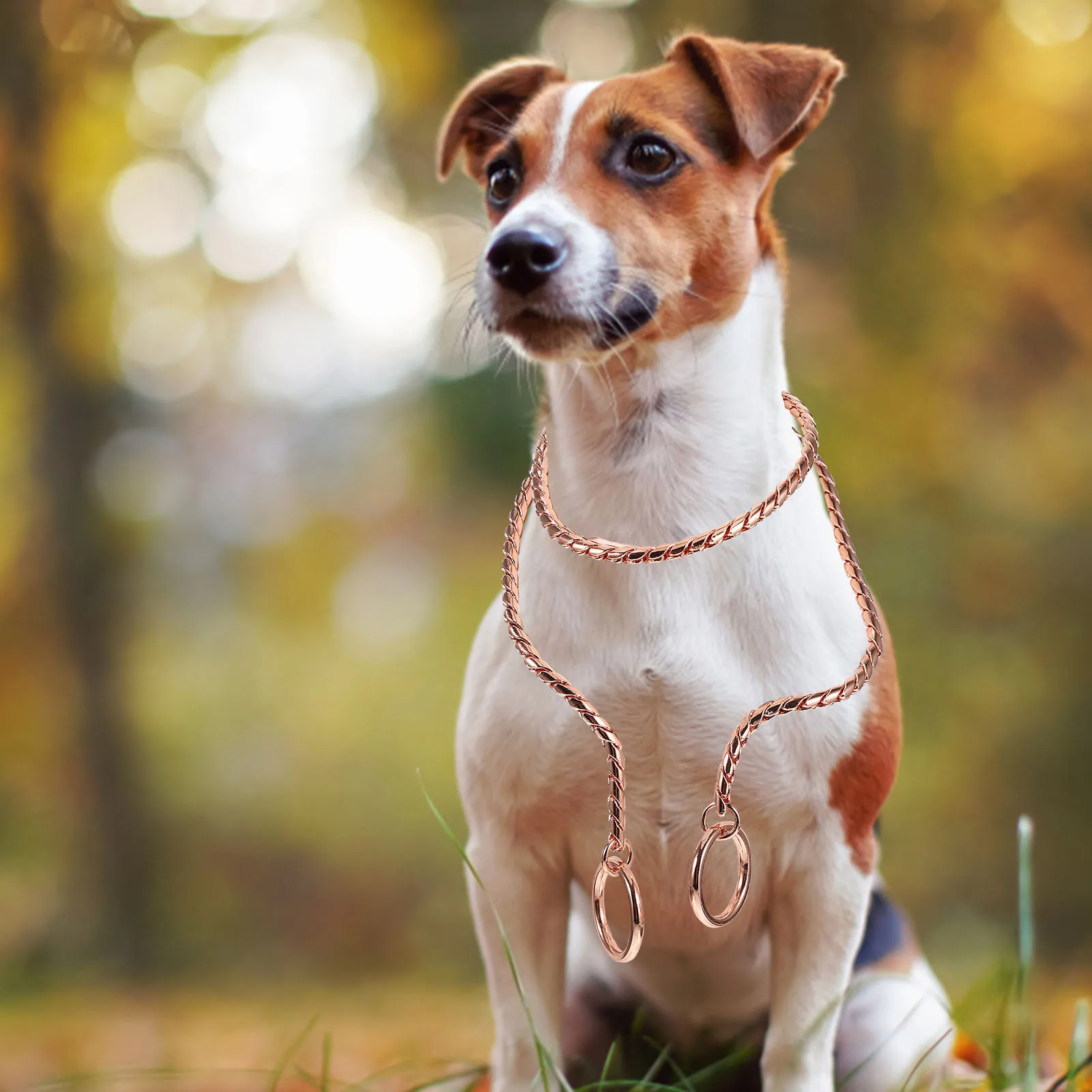 

Stainless Steel Dog Chain Heavy Duty Metal Lead For Large Dogs Outdoor Walking Pet Collar Puppy Training Leash