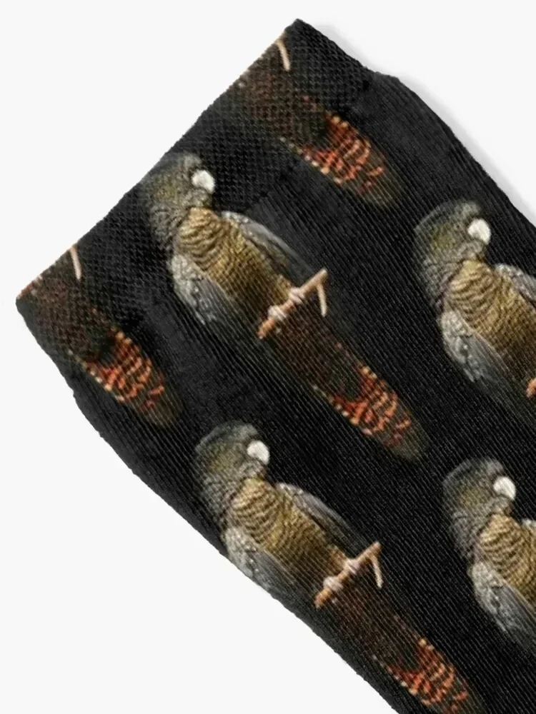 Red-tailed Black Cockatoo 2 Socks winter gifts Sports basketball Woman Socks Men's