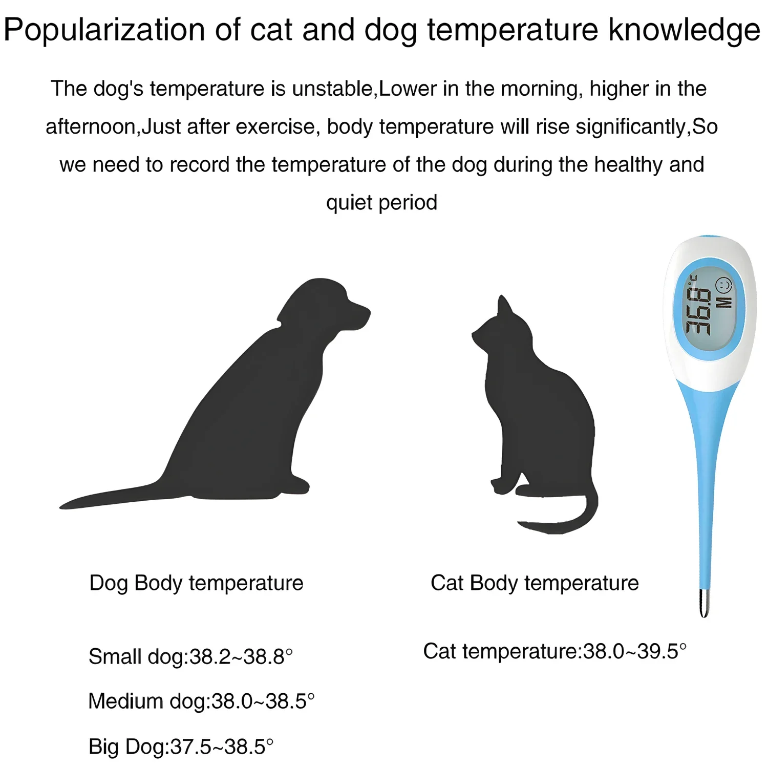 AiQUE Haustier-Thermometer mit Großem Digitaldisplay Schnellmessendes Hunde- und Katzen-Elektronikthermometer Tiermedizinisches Gerät Veterinärwerkzeug – Detail 1