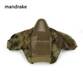 mandragora