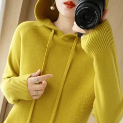 Hooded Sweater for Women Spring and Autumn 2024 New Hoodie Underlay with Knitted Shirt for Casual Large Hooded Sweater for Women